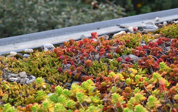 the cost of Bramcote Mains green roof installation