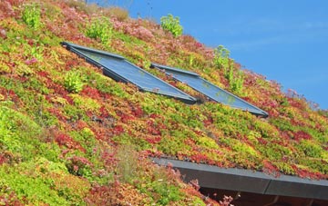 Bramcote Mains living roof systems